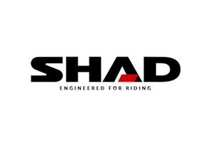 Shad