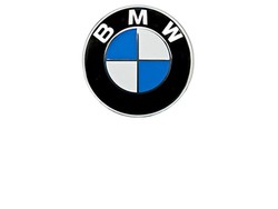 Respaldos BMW