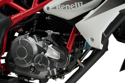 Kawasaki  Z250SL 15> / Benelli BN125 18> Protector de motor R19.