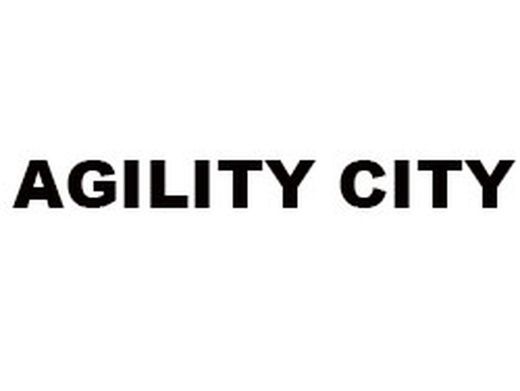 AGILITY CITY