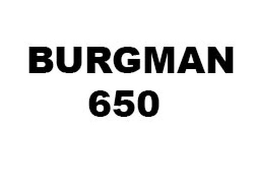 BURGMAN 650