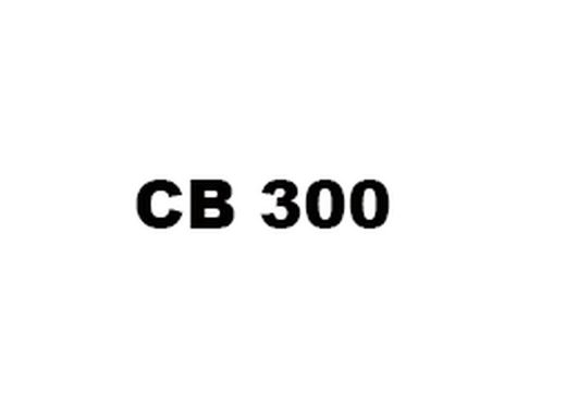CB 300