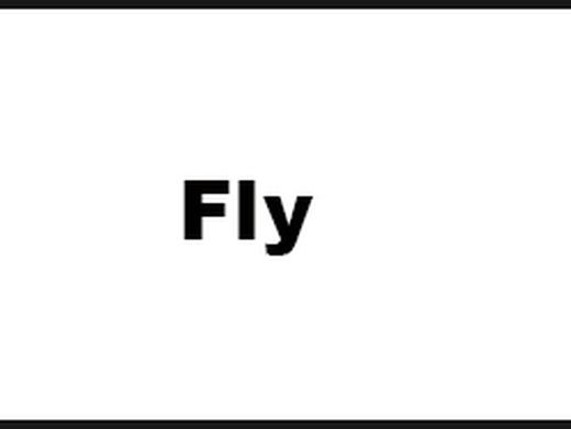FLY