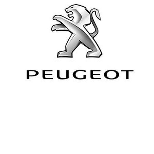 Parabrisas para Peugeot