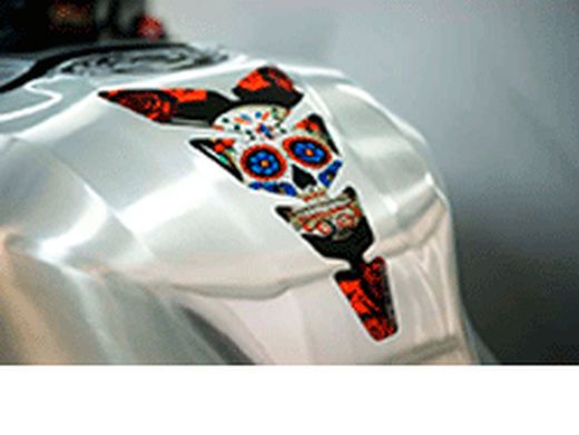 Protector deposito y carroceria