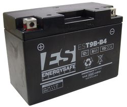 Batería Energysafe precargada