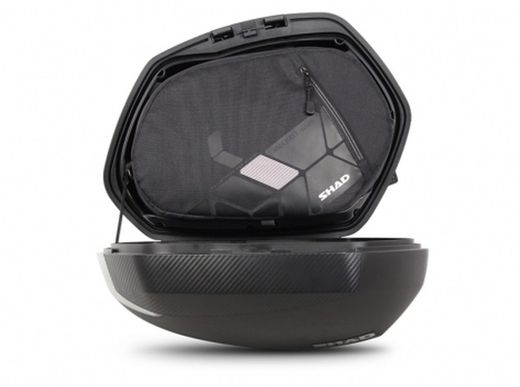 Borsa interna x01b36