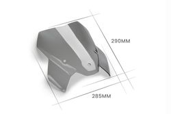 CBRIS NEW GENERATION SPORT BMW S1000R 21'