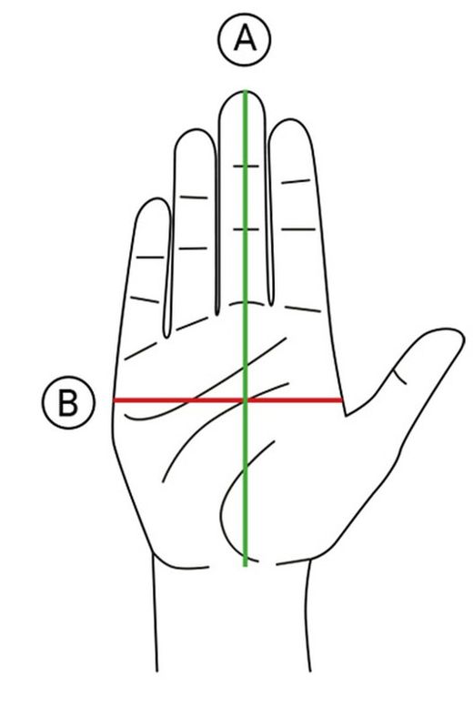 Guantes de Hombre Onboard “VINT-AIR” negros