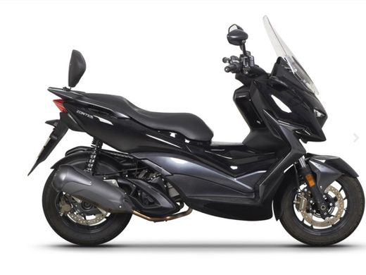 Respaldo ZONTES M310 '21>