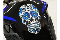 Protector De Deposito Skull C/Azul