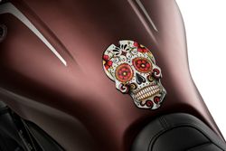 Protector De Deposito Skull C/Rojo