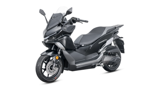 QJ Motor Fort 350 EVO E5+