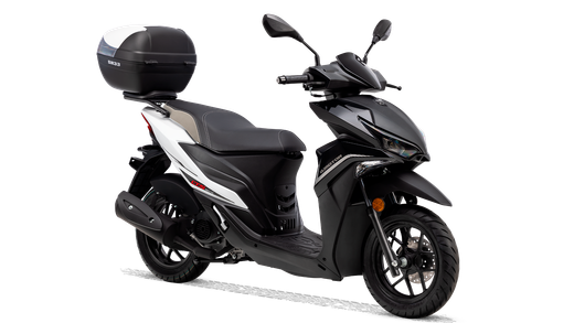 QJ Motor LTS 50 E5