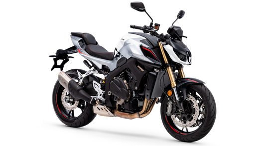 QJ Motor SRK 800 E5+