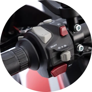 QJ Motor SRT 450 RX E5+