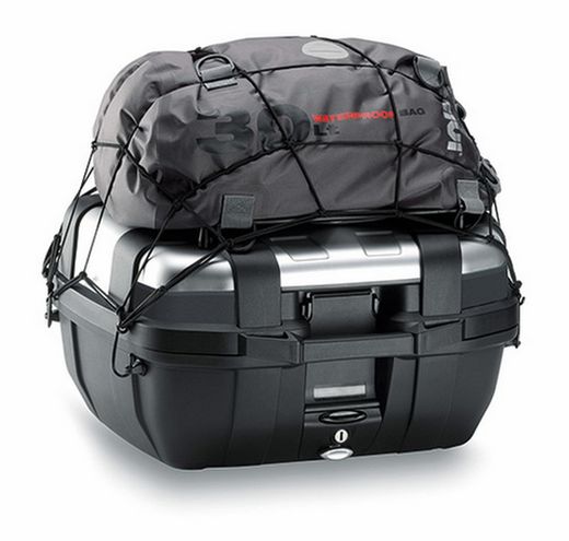 Xarxa elastica  t10n