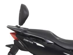 Respaldo ZONTES M310 '21>