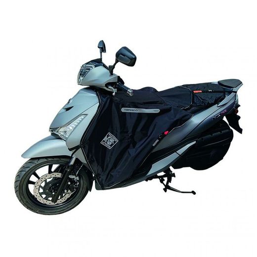 Termoscud r204 para sym hd 300 2019>