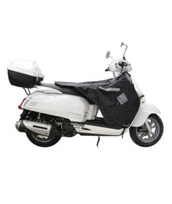 Termoscud per yamaha d´elight 2013>