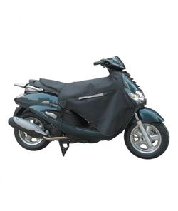 Termoscud per yamaha d´elight 2013>